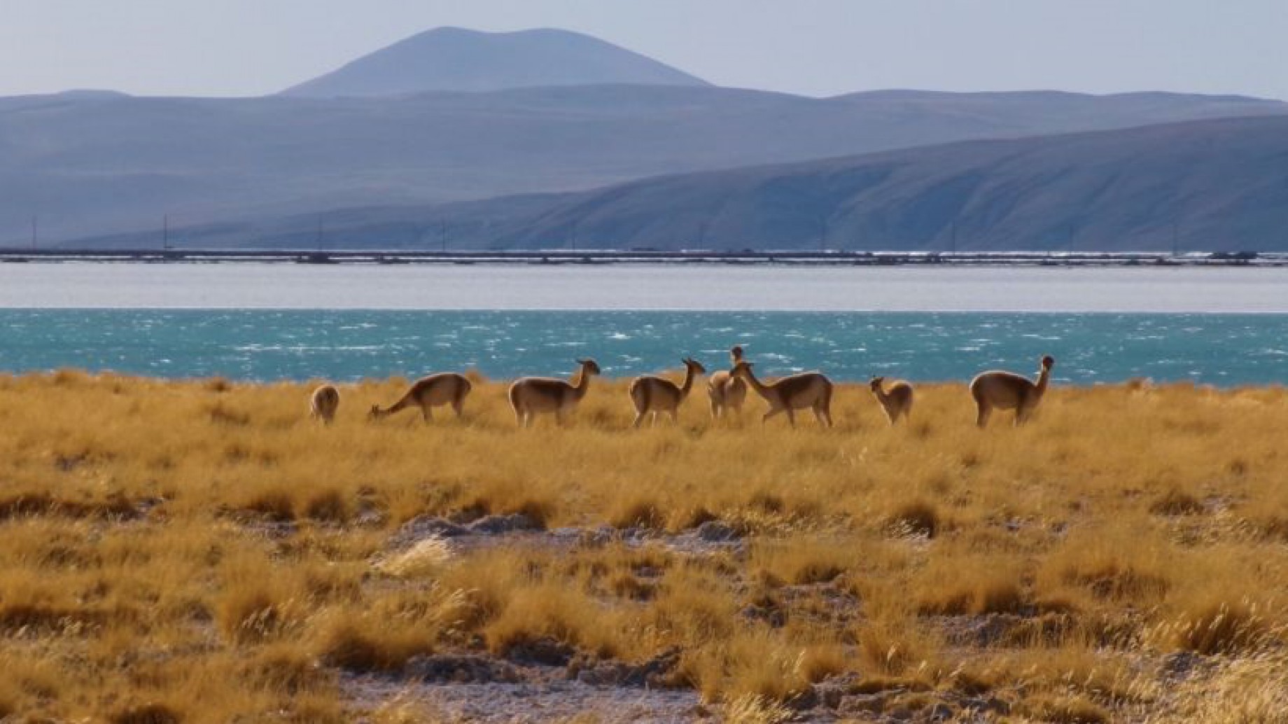 CEMA 2021 sobre el litio: "Hay que asegurar la menor tasa de uso de agua y penalizar la producción ineficiente"